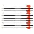 X-BOW FMA Supersonic Carbonbolt Hunt - Pack of 10 (L74_SCBHP10)