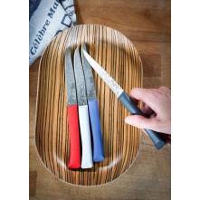 OPINEL ΣΕΤ 4 ΔΙΑΦΟΡΕΤΙΚΑ ΧΡΩΜΑΤΑ BON APPETIT+
