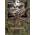 HILLMAN MULTIFUNCTION HEADWARE BUFF 908 3DXG