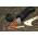 OUTDOOR EDGE HARPOON HAR-1 SURVIVAL KNIFE