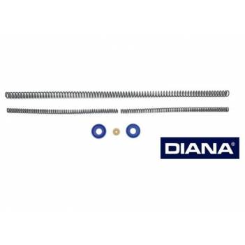 DIANA 75 SERVICE KIT