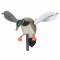 MOJO WIND DUCK