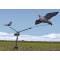 PIGEON/CROW MAGNET CAROUSEL 12V