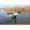 MOJO OUTDOORS ELITE SERIES PINTAIL (HW2469)