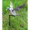 RAPID FLYER PIGEON
