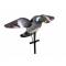 LUCKY HD PIGEON DECOY